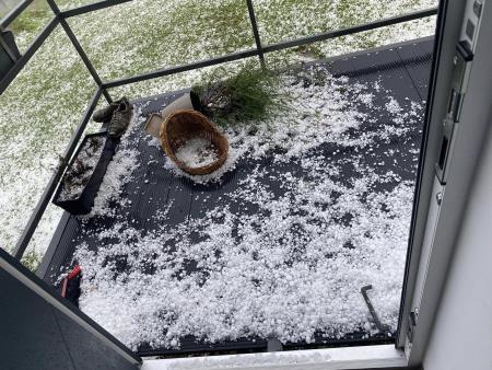 Kot oreh velika toča